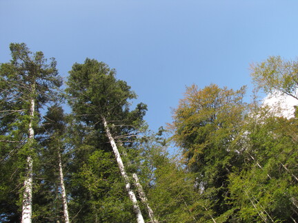 20080926 150347